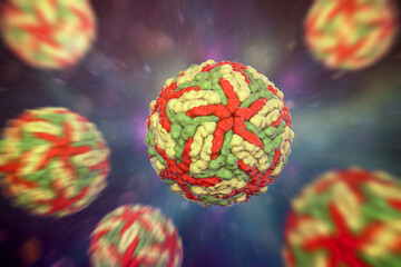 Dengue viruses, 3D illustration