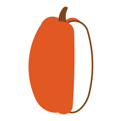 pumpkin orange autumn food line element icon