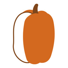 pumpkin orange autumn food line element icon