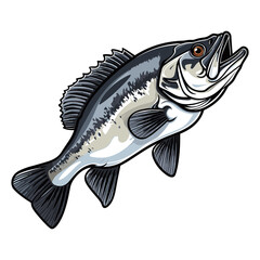 Bass fish illustration, freshwater sportfishing