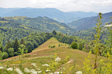 Fototapeta premium mountain landscape, Сarpathians. Beautiful view of the forest, mountains, sky