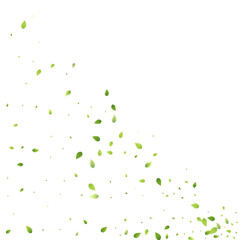 Leaves Green Falling Flying Foliage Leaf Tea Mint