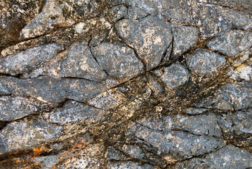 The texture of the stone on the shore of the Adriatic Sea