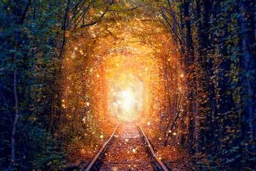 Fairy Sparkle place - Autumn Trees Tunnel with old railway - Tunnel of Love. Natural tunnel of love formed by trees.