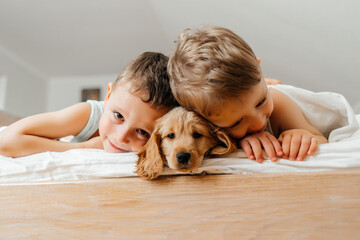 Cute little boys having fun with pet Cocker Spaniel puppy dog, lying prone on wtite bed at home...