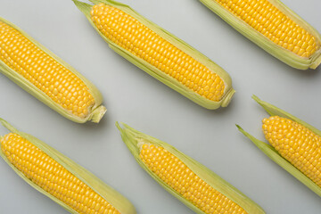 Fresh corn on cobs on color background, top view