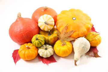 assorted of differents sort of pumpkin- Autumn food concept