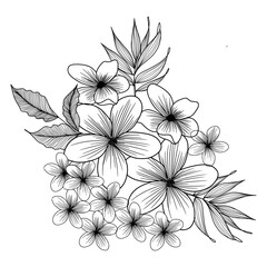hand drawn flower arrangement