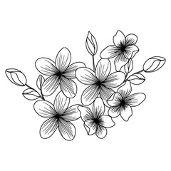 hand drawn flower arrangement