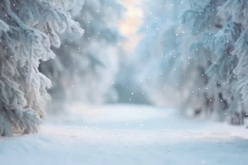 Fotobehang beautiful New Year's white winter background with snow-covered fir trees in the forest close-up and a path between them, bokeh and space for text © Tatyana