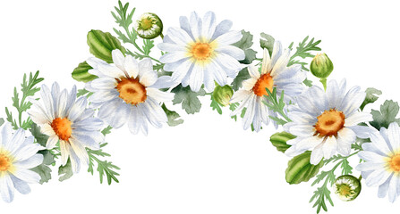 Bouquet of chamomile daisy flowers. Wildflowers for wedding invitations and greeting cards. Watercolor illustration. Rustic white flowers arrangement