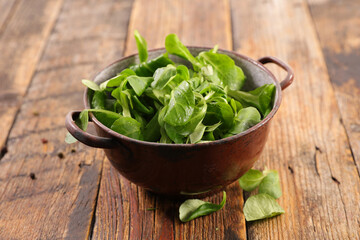 fresh lambs lettuce in bowl