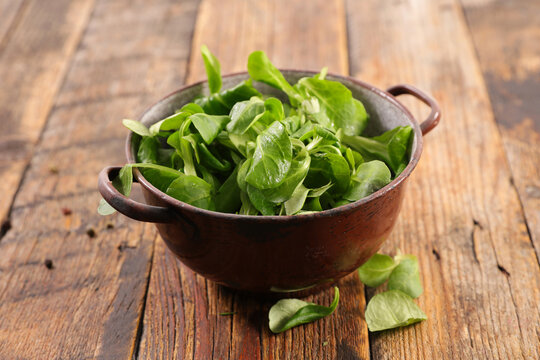 fresh lambs lettuce in bowl