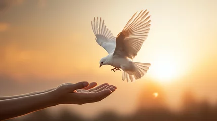 Fotobehang Hands releasing a white dove into the sky, marking the commitment to peace and freedom Generative AI © Наталья Евтехова