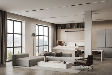 White living room and kitchen interior