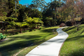 Walking path in Tamborine Mountain Botanic Gardens in Queensland, Australia