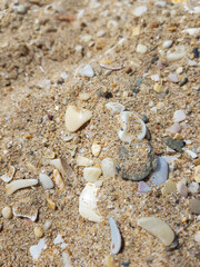 Very clear golden sands and shining