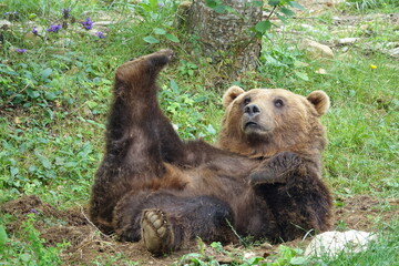 ours
