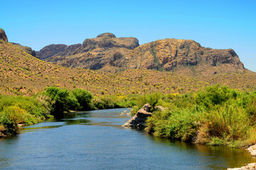 Salt River Recreation Area Arizona