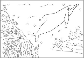 Fototapeta premium Adventure Coloring Book Animal Kingdom and Wild Safari