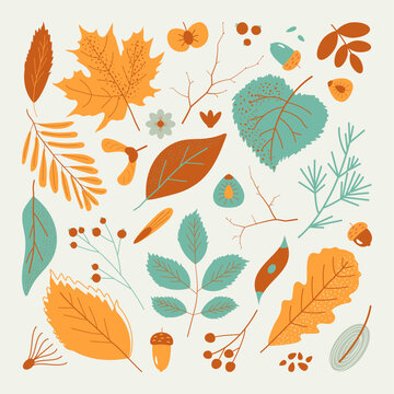 Hand drawn autumn leaves and tree seeds in retro trendy pastel colors. Flat doodle style. Vector illustration.