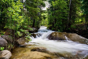Tranquil stream flows through a picturesque landscape with large rocks and trees