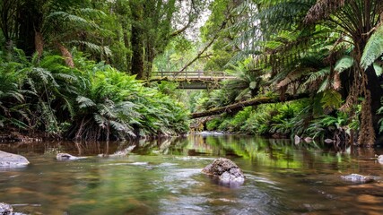 Naklejka na ściany i meble Tranquil stream passes beneath a picturesque bridge surrounded by lush green foliage.