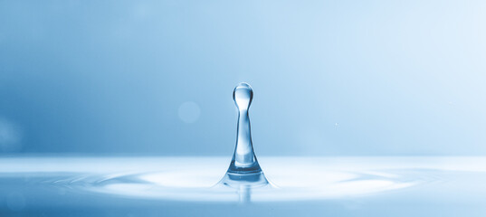 Fluid Embellishment: Witness the water's enhancement by the artistic t