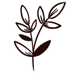 floral line art doodle element, for background, wallpaper, pattern 