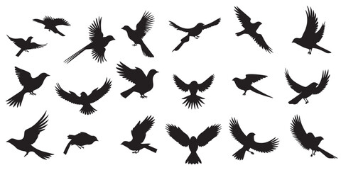 A set of silhouette Flying bird vector illustration
