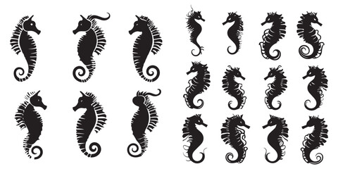 Set of silhouette cute Sea horse vector illustration