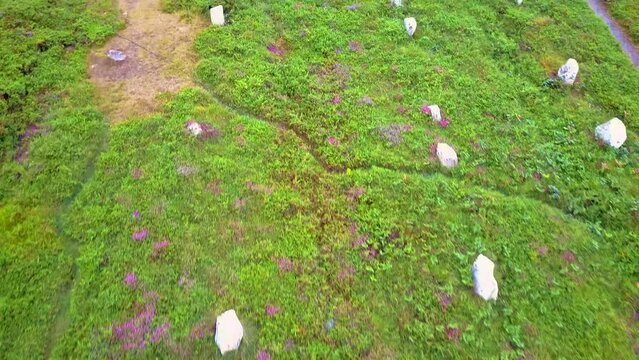 Standing stones of Carnac in Brittany