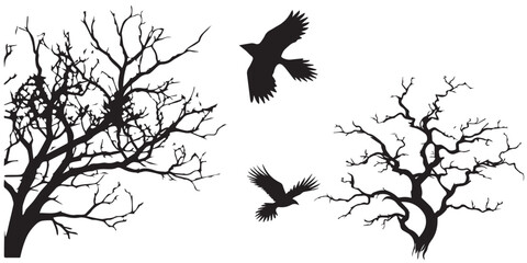 Birds fly from tree branches to the infinite sky silhouette vector