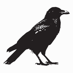 A Crow stands on the ground silhouette vector design.