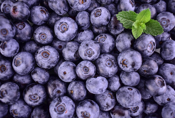 Background of blueberries. A lot of blueberries, top view.

