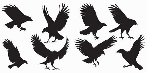 Set of silhouette Bird vector illustration