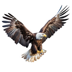 Obraz premium A majestic bald eagle soaring through the sky with wings outstretched. Isolated background. Transparent PNG. Generative AI
