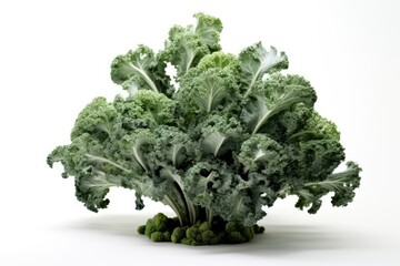 Fresh and Healthy - Pile of Fresh Broccoli