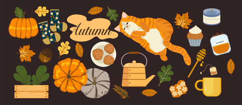 Vector illustration of a casual day with the fat orange cat sleeping Autumn forest, pumpkins, sweets, hot tea, and leaves. Illustration for poster, card, or background.