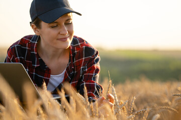 Woman farmer working with laptop on wheat field. Smart farming and digital agriculture..