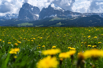 The UNESCO World Heritage Dolomites in Northern Italy aka Italian Alps