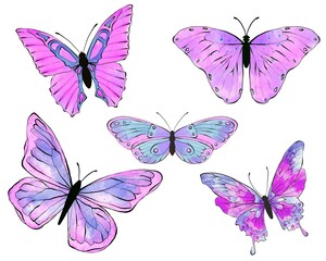 Watercolor viola butterflies. Hand drawn illustration, isolated on white background.