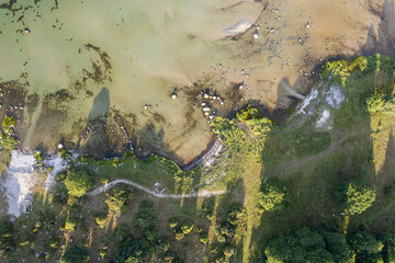 Aerial view of a beautiful maritime landscape with wild nature, many stones trees and grass. Little island with wild nature. Wild beach, pasture. 