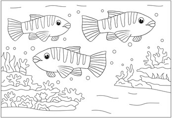 Adventure Coloring Book Animal Kingdom and Wild Safari