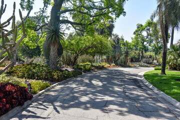 Cactus Avenue in Botanical Garden