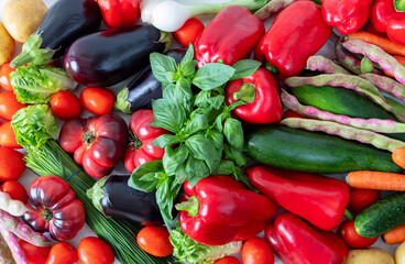 Vegetables summer abundance top view