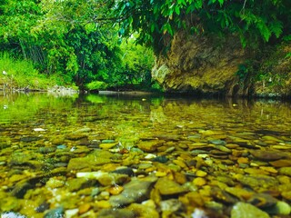 Scenic view of a tranquil lake surrounded by lush green vegetation during a hot summer day