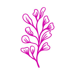 floral elements, flower, leaves. Hand drawn sketch pencil style