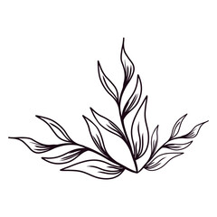 floral elements, flower, leaves. Hand drawn sketch pencil style