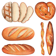 Watercolor hand drawn bread collection